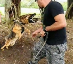 Treinamento com cães aconteceu em Viamão