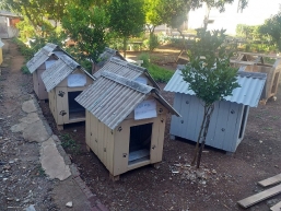 As casinhas são distribuídas entre famílias que sobrevivem em condições de vulnerabilidade, assim como seus cães